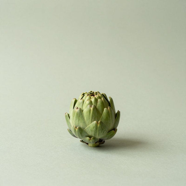 Artichoke Extract