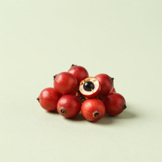 Fruit de guarana