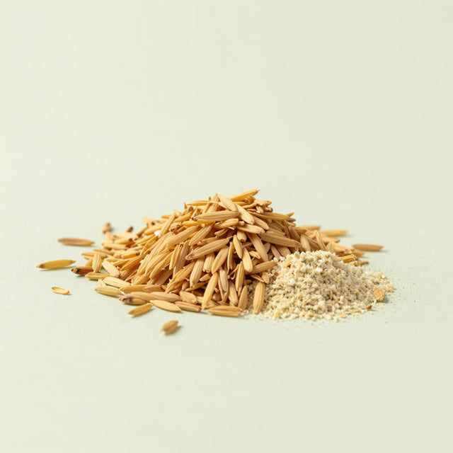 Extracto de polvo de cáscara de arroz