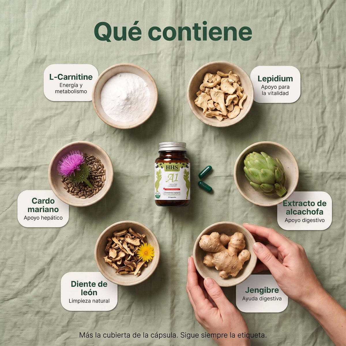 HHS A1 Cápsula: Qué lleva