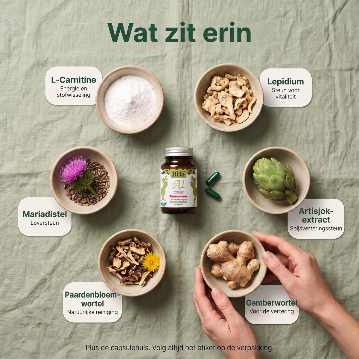 HHS A1 Capsule: Wat zit erin