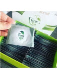 trextea1
